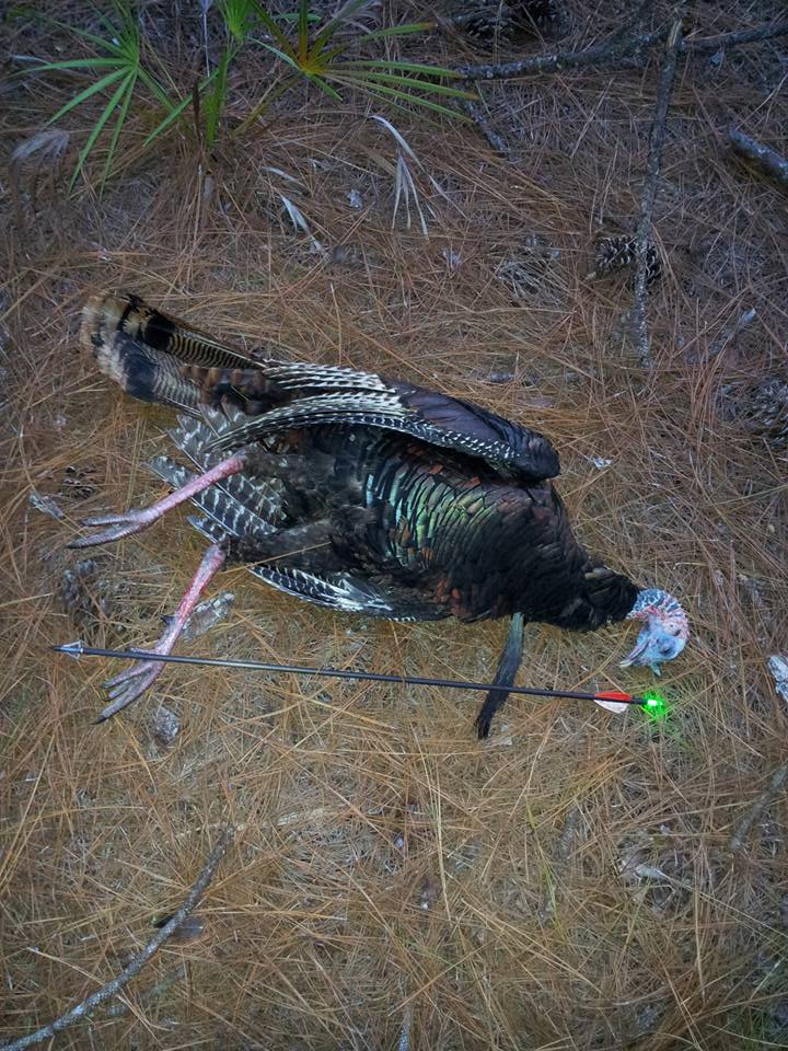 Doug Ashley's first bow-turkey